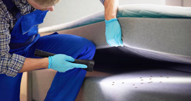 Best Pest Control Treatment  in Leadwood, MO
